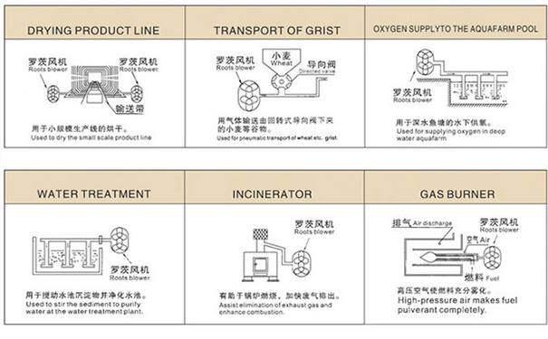 羅茨鼓風機在中央供料系統中重要嗎? 羅茨鼓風機在中央供料系統中重要嗎?